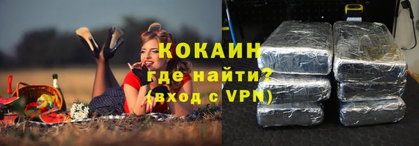 эйфоретик Няндома