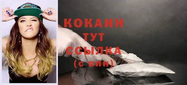 эйфоретик Няндома
