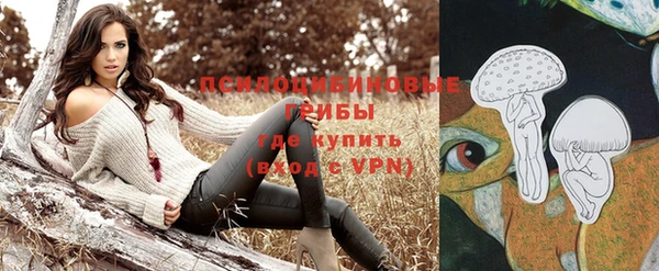 эйфоретик Няндома