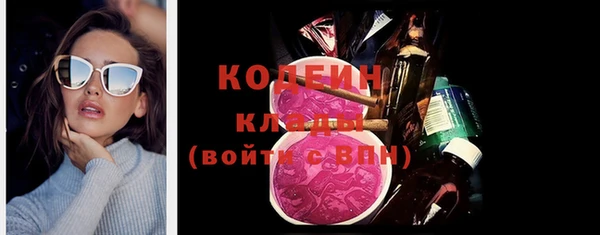 эйфоретик Няндома