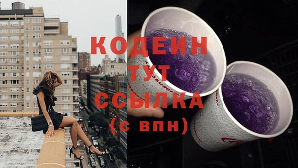 эйфоретик Няндома