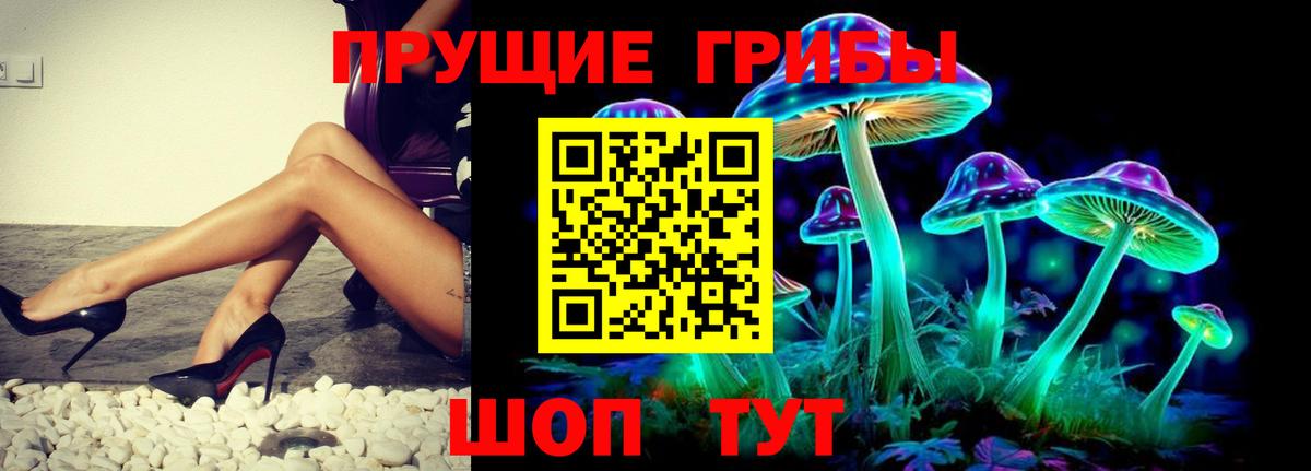 Псилоцибиновые грибы GOLDEN TEACHER  Вход с VPN  Усть-Лабинск 
